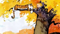 Calvin and Hobbes, The Last Adventure