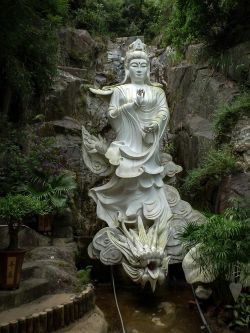 Ten Thousand Buddhas Monastery – Hong Kong