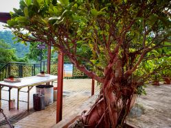 Ten Thousand Buddhas Monastery â€“ Hong Kong